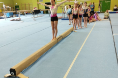 Prvenstvo osnovnih šol Ljubljane v športni gimnastiki